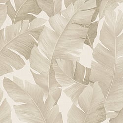 Galerie Wallcoverings Product Code 31625 - The New Design Book Wallpaper Collection - beige Colours - Floral Design