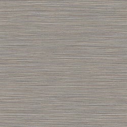 Galerie Wallcoverings Product Code 35977 - Ornamenta Wallpaper Collection - Beige Grey Colours - Horizontal Texture Design