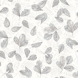 Galerie Wallcoverings Product Code 7301 - Evergreen Wallpaper Collection - Grey Colours - Fossil Leaf Toss Design