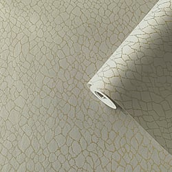 Galerie Wallcoverings Product Code DWP0232-02 - Boutique Wallpaper Collection - Beige Colours - Webbing Design