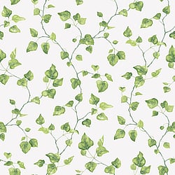 Galerie Wallcoverings Product Code G45431 - Just Kitchens Wallpaper Collection - Green Colours - Just Ivy Design