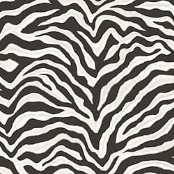 Galerie Wallcoverings Product Code G67491 - Natural Fx Wallpaper Collection -  Zebra Design