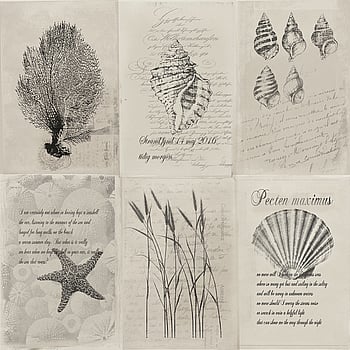 Galerie Wallcoverings Product Code 21021 - Skagen Wallpaper Collection - Beige Dark Grey Colours -  