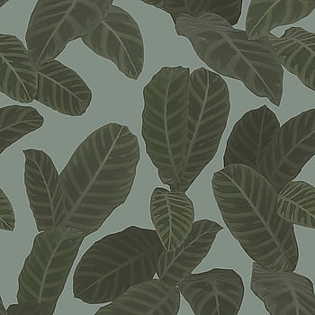 Galerie Wallcoverings Product Code ED13129 - Ted Baker Eden Wallpaper Collection - Blue Green Colours -  