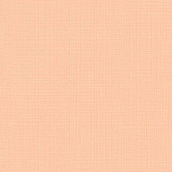 Galerie Wallcoverings Product Code JR1004 - Jack N Rose Junior Wallpaper Collection -   