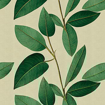 Galerie Wallcoverings Product Code WH45233M - Welcome Home Murals Wallpaper Collection - Cream, Yellow, Green Colours -  